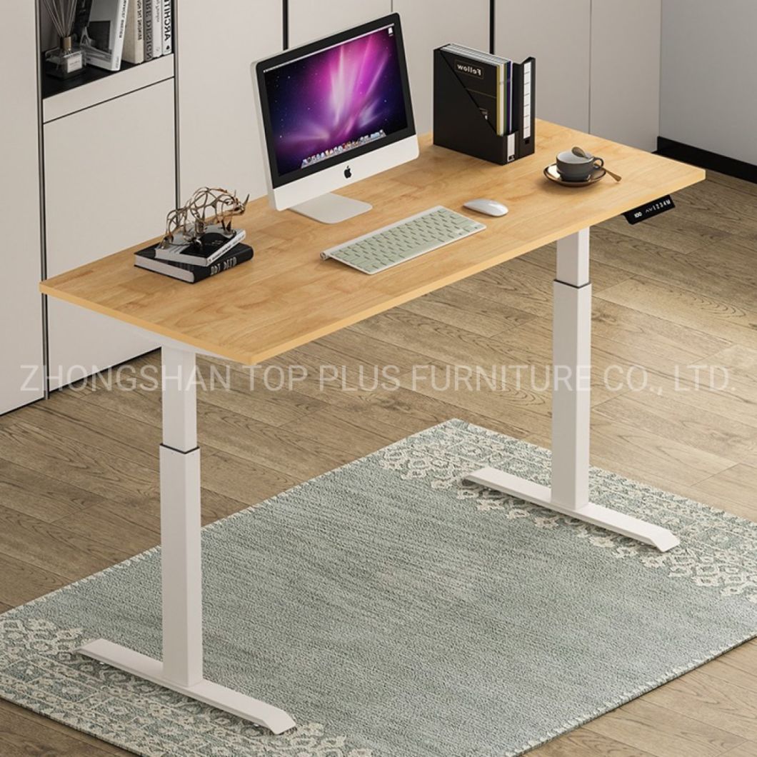 Standing Table Height Adjustable Computer Desk Home Furniture Office Desk (M-T115)