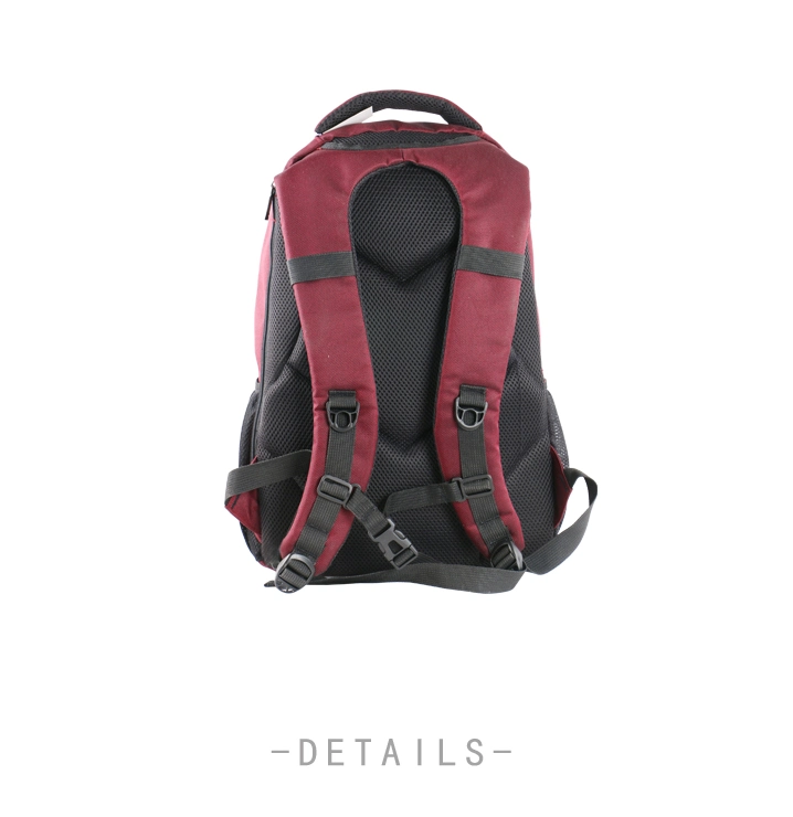 2018 Custom Waterproof Laptop Shoulder Bag Backpack Laptop Backpack in Laptop Bags