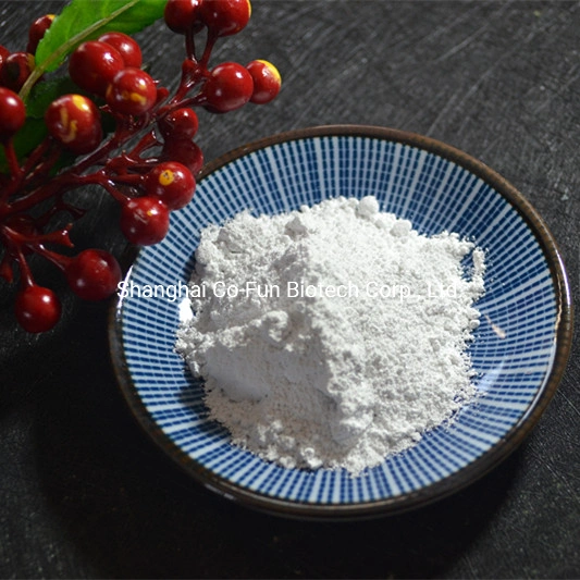 Chemical Raw Material Nano Titanium Dioxide /TiO2 for Cosmetic Industry and Sunscreen Usage