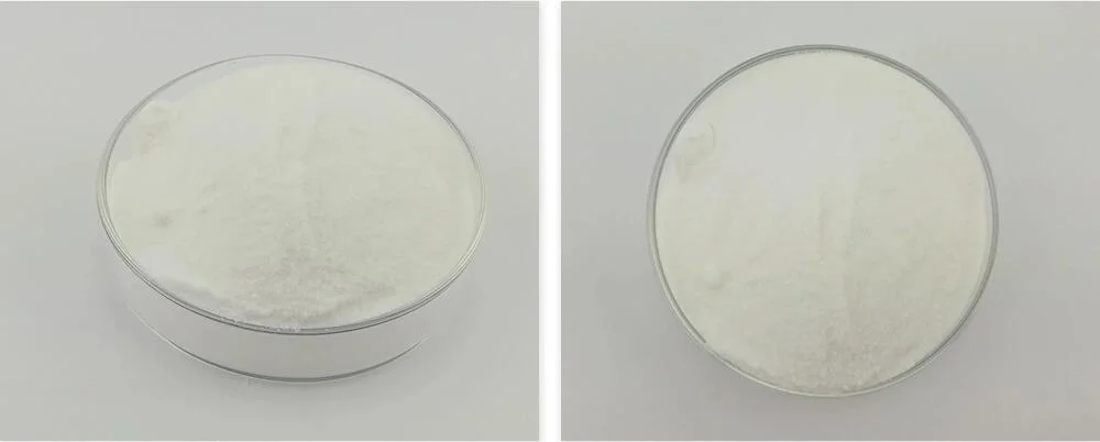 Top Quality Nootropic Pharmaceutical Raw Material Phenibut Powder