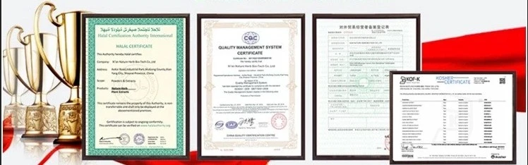 Different Application of CAS 1317-38-0 Nano Cuo Powder Copper Oxide Powder Cupric Oxide