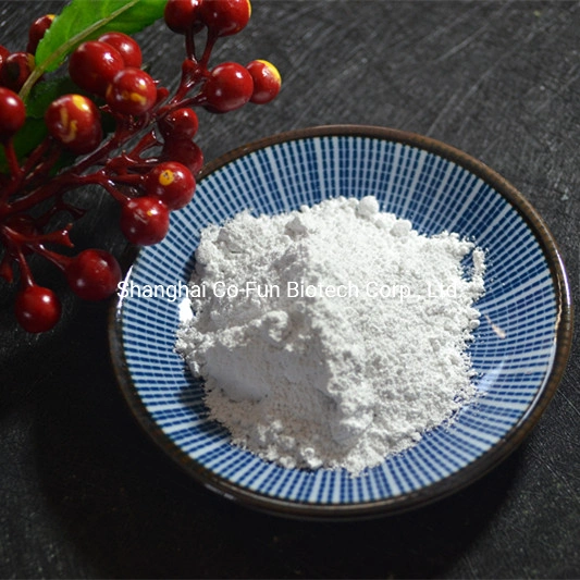 First Class Nano Titanium Dioxide TiO2 White Powder for UV Block