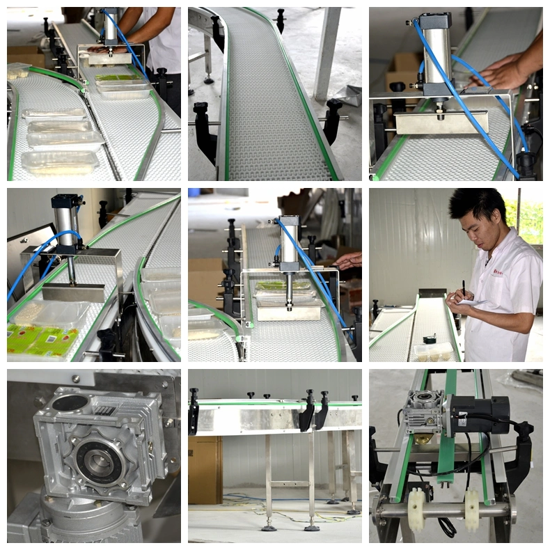 Inquiry Wholesale Customized for Corrugated Carton Modular Belt Conveyor (HarQNB)