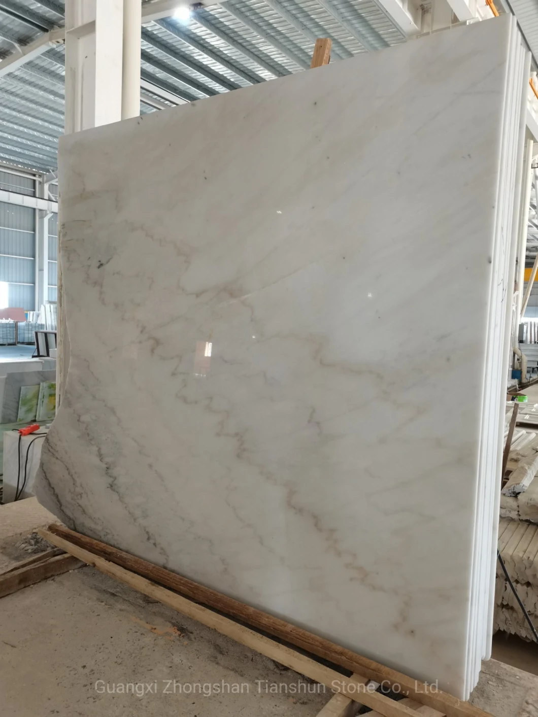 White Marble Tile Carrara White Marble with Black Veins Price Marble White Decor White Marble Slab White Floor Tile