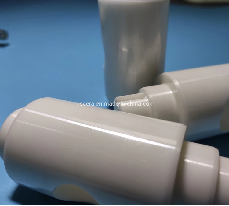Pump Zirconia Ceramic Plunger/Ceramic Piston/Ceramic Gear Shaft