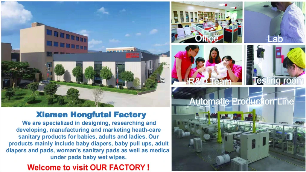 Factory OEM Best Quality 290mm Cotton Non Woven Breathable Sanitary Napkin