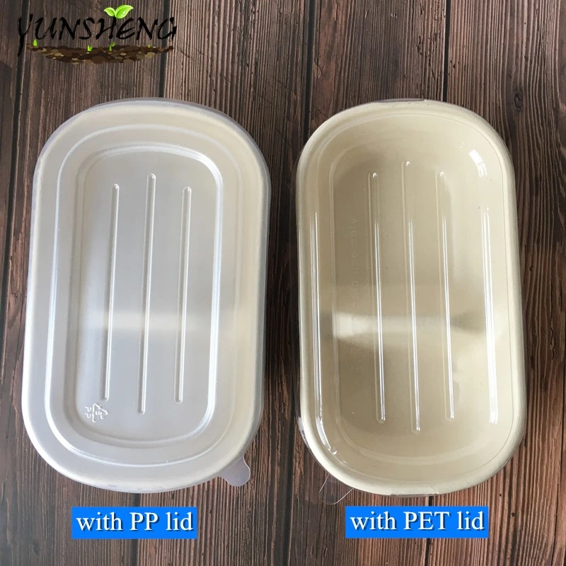Biodegradable Disposable Wheat Straw Takeout Paper Box with Paper Lid