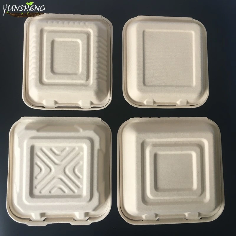 Compostable Disposable Takeout Paper Food Container with Clamshell White Paper Box