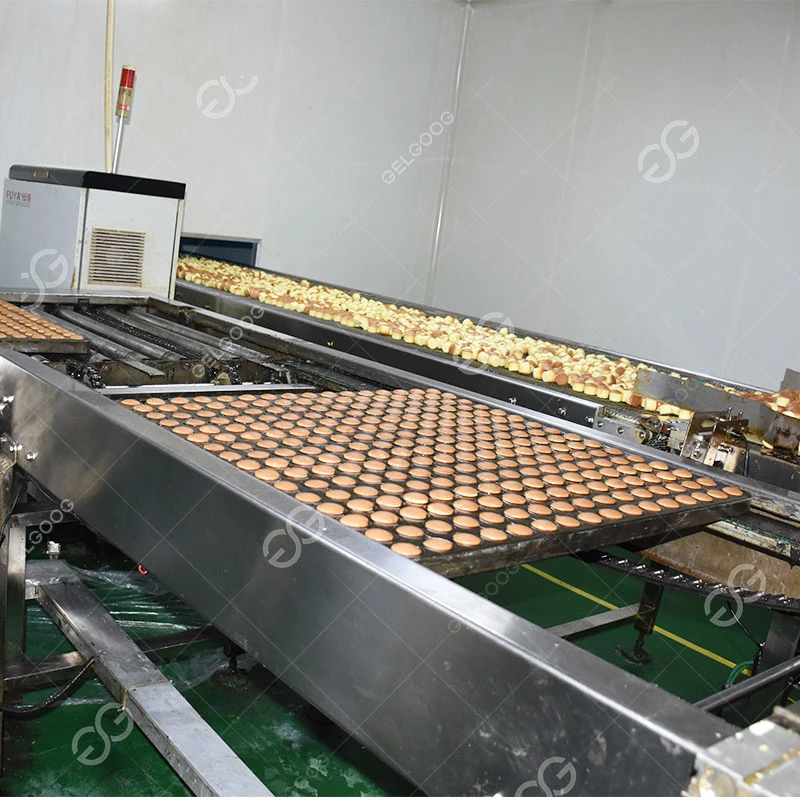 Stainless Steel Cup Cake Maker Machinery Cake Making Machine Price in Kenya