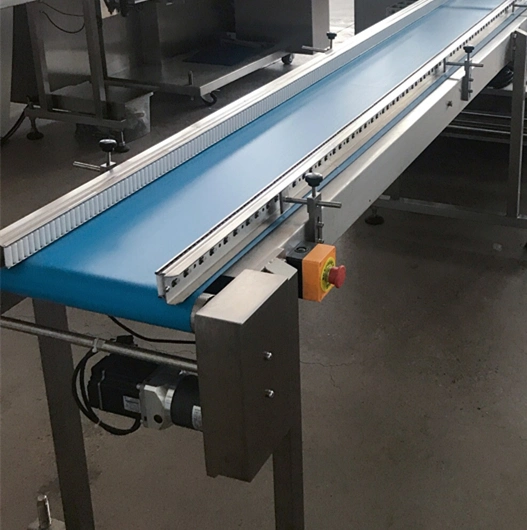 Automatic Flow Pillow Wrapping Machine for Vegetables/Lettuce/Carrot/Chapati/Roti/Pizza Base/Cake/Fruit