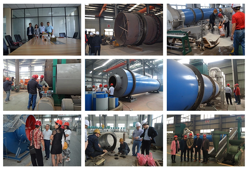 Industrial Single Drum Rotary Drum Dryer Manufacturer, Coconut Fiber Rotary Drum Drying Equipment