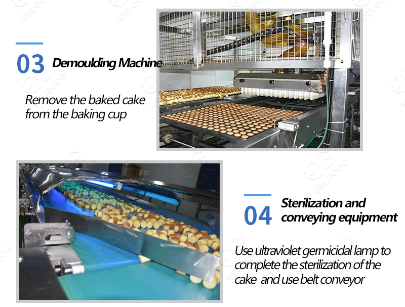 Gelgoog Sponge Egg Shape Cake Making Machine Custard Cup Cake Production Line Automatic