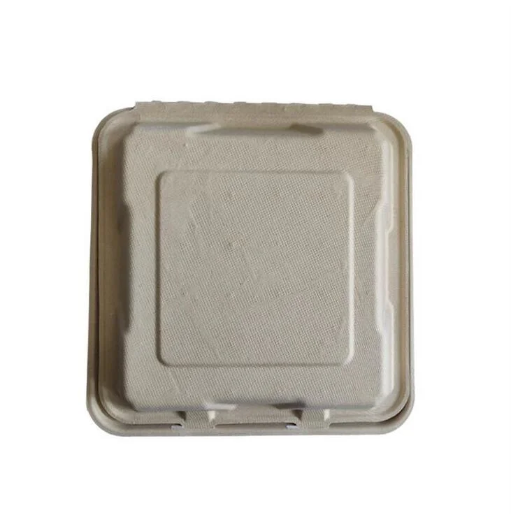 Food Grade Boxes Printing Colorful Biodegradable Take out Meal Paper Box Disposable Meal Box
