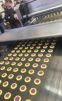 Automatic Biscuit Cookie Production Line (For cup cake/Custard cake)