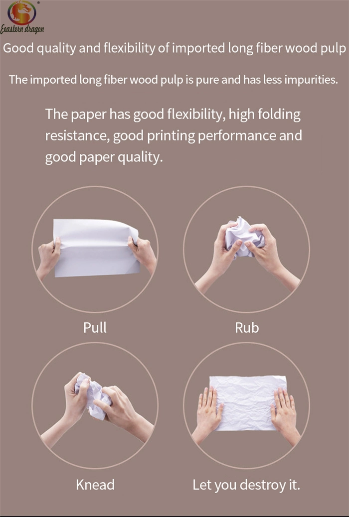 Pure White chamex A4 Copy Paper / Chamex Papel 75GSM / Chamex 75GSM letter Size Copier Paper