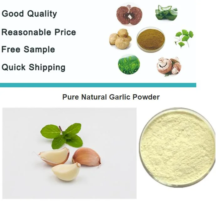 Wholesale Factory Ad Air Dried Dehydrated Garlic Powder 80-100/100-120mesh Available