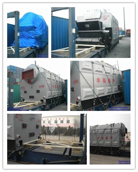 Horizontal Single Drum Chain Grate Fire Tube Coal Fired Steam Boiler with ISO9001 Ce ASME