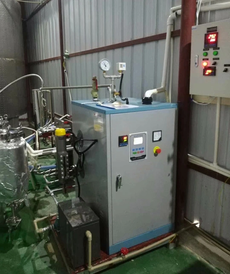 China Quick Loading Steam Capacity 65 Kg/Hr Small Electric Steam Boilers