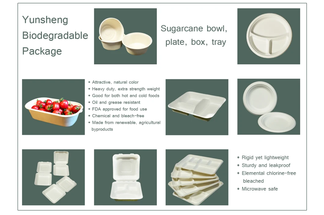 350ml Rectangular Sugarcane Bagasse Paper Food Container Tray for Salads, Vegetables, Fruits, Meats Compostable Biodegradable Disposable