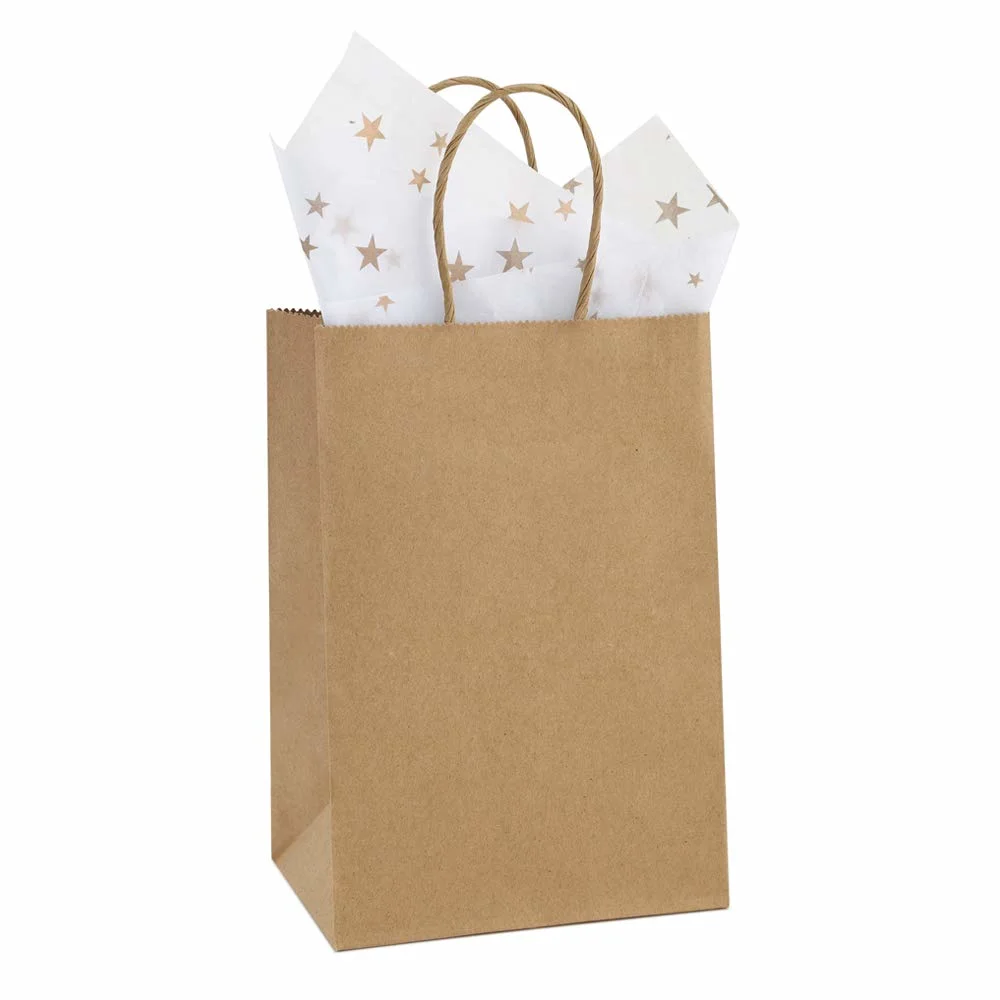 Heavy Duty Tyvek Bag Kraft Paper Shopping Bag