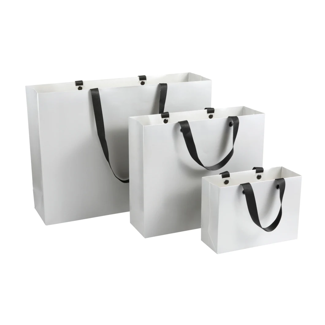 Kraft Paper Bags with Handles Luxury Custom Paper Bag Customizable Shopping Bags Custom Logo Paper
