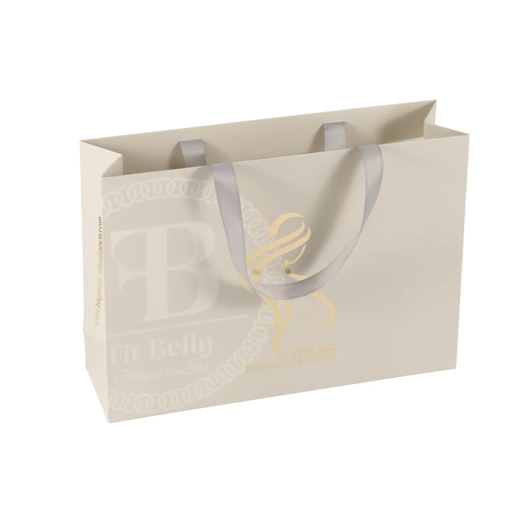 Luxury Gift Paper Shopping Bags with Logos Paper Bags Custom Luxury Packaging for Jewelry