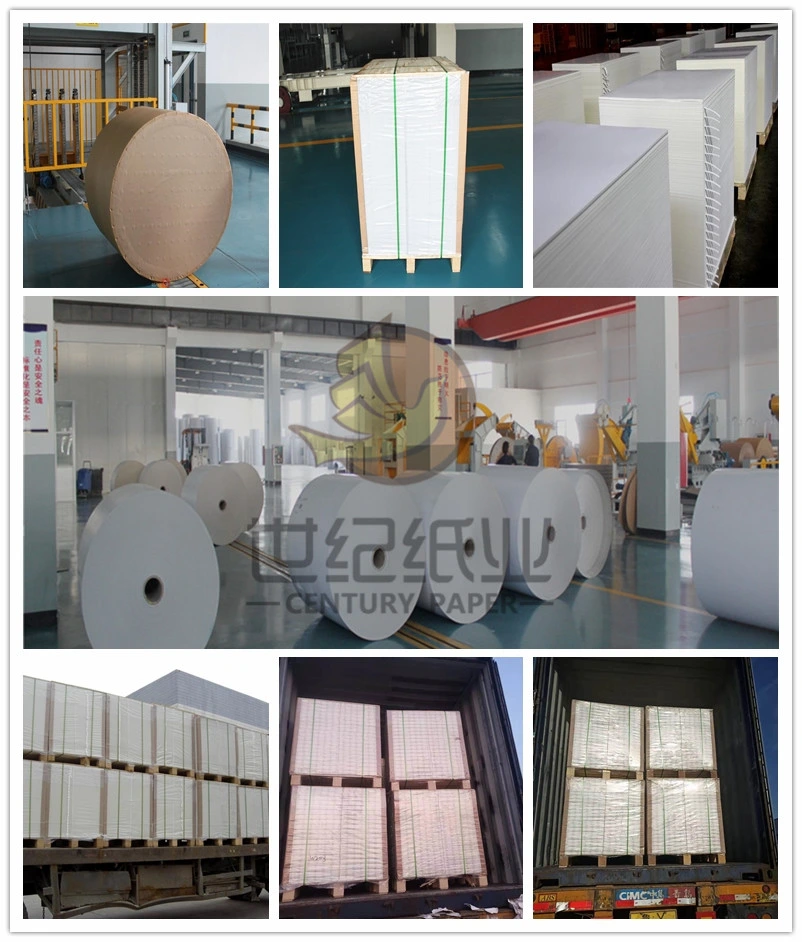 China Manufacturer 60GSM Pink Blue Carbonless NCR Paper