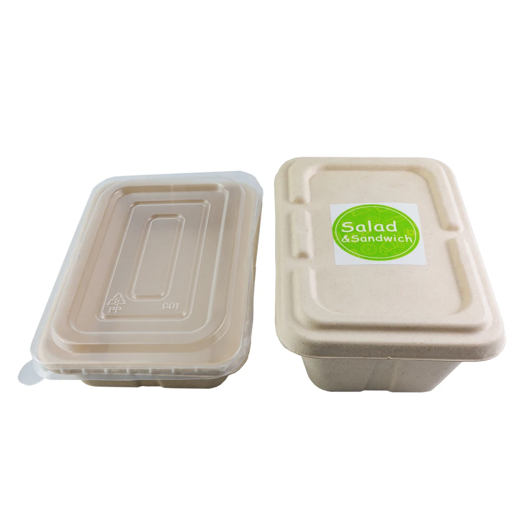 Eco Friendly Biodegradable Disposable Pulp Fast Food Container Disposable Microwave Food Container with Lid