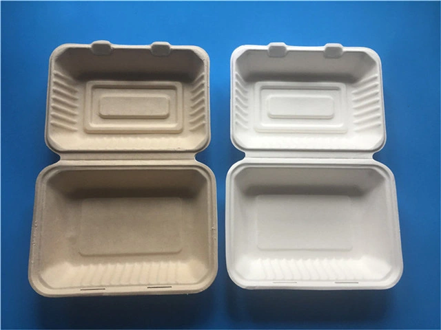 Bagasse Plup Paper Lunch Box Fast Food Box Take Away Container