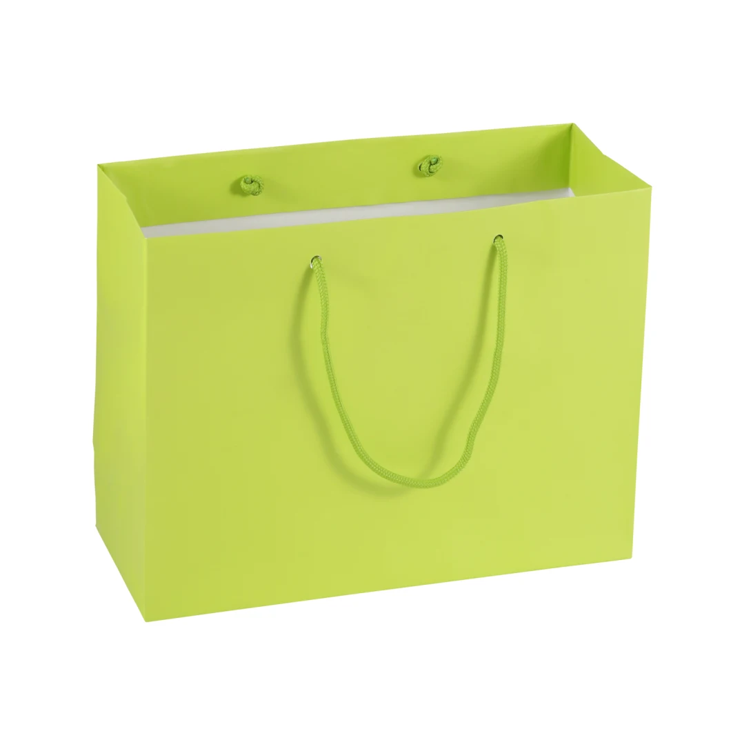 Luxury Custom Shopping Kraft Paper Bag Gift Bag Paper with Handles