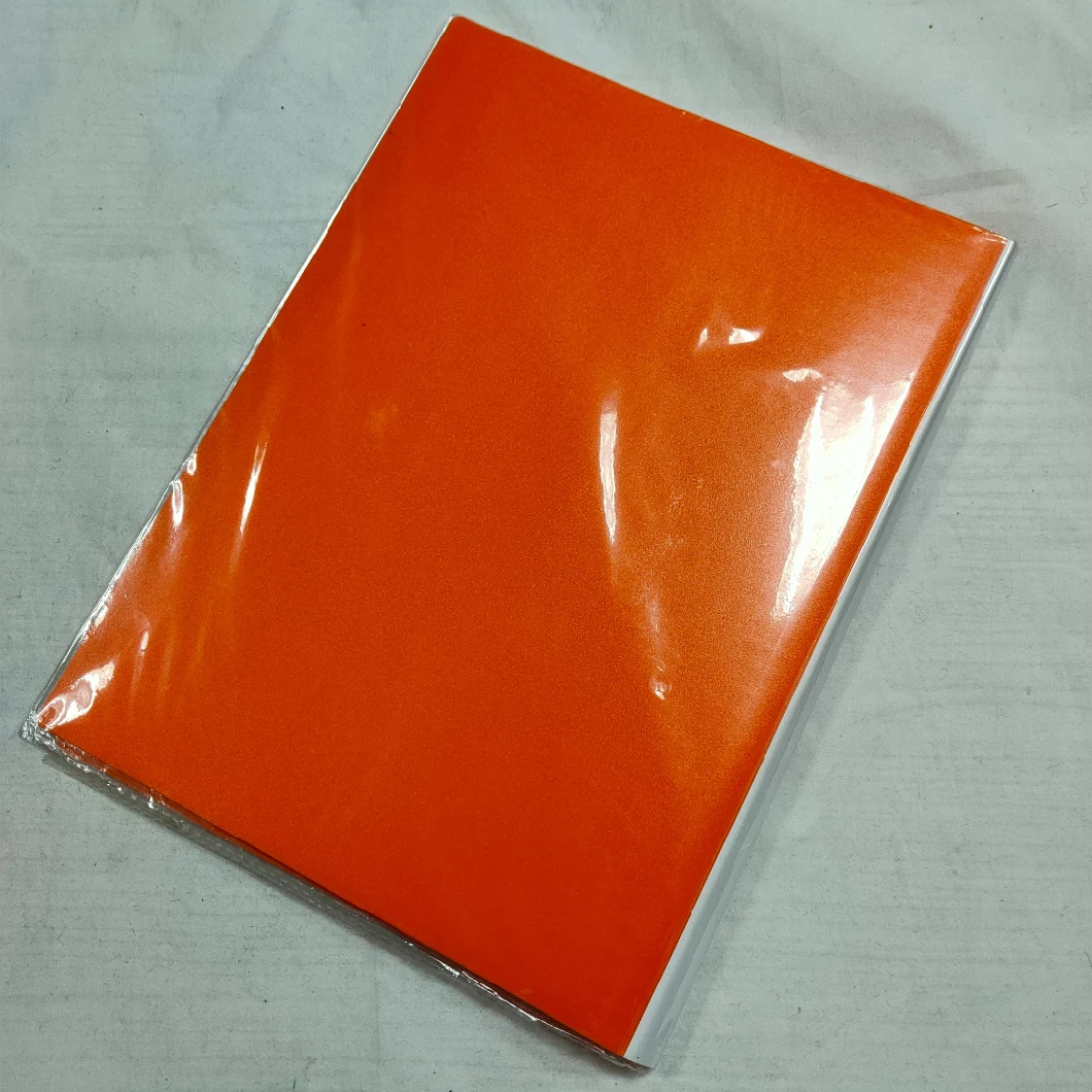 Paper Organizer Perfect File Folder Bag (Orange)