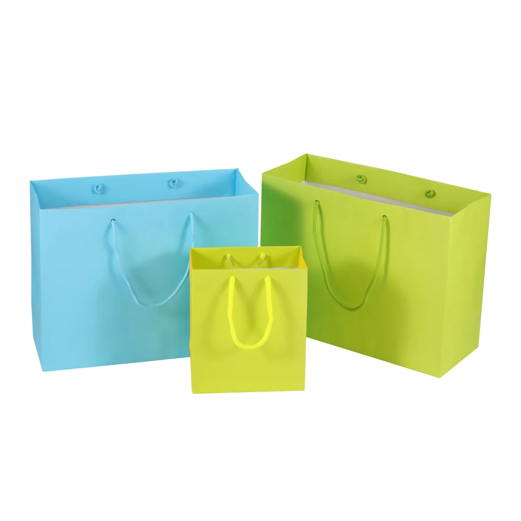 Shopping Luxury Paper Packaging Bag Gift Bag Paper with Handle