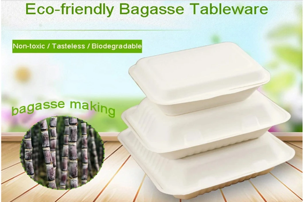 Eco-Friendly Disposable Biodegradable Food 4 Compartments Paper Trays and Lids Paper Tray Dinnerware