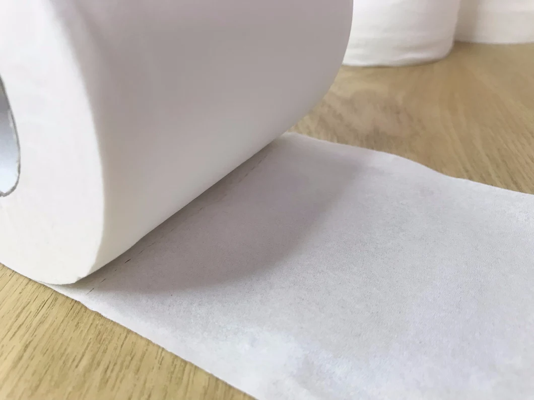 Hot Sale Ultra Soft Plain White 2ply 500sheets Recycled Pulp Toilet Tissue Paper Roll with Core