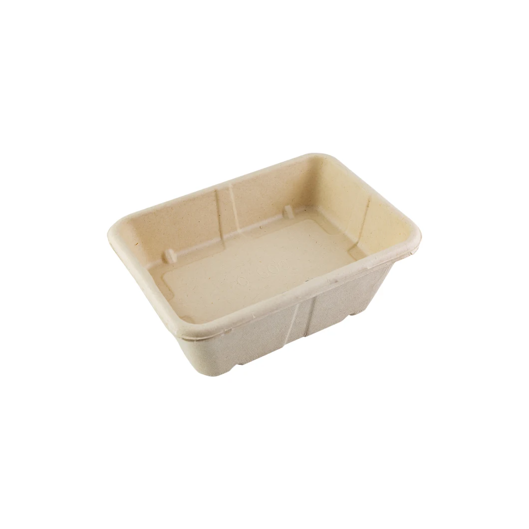 Eco Friendly Biodegradable Disposable Pulp Fast Food Container Disposable Microwave Food Container with Lid