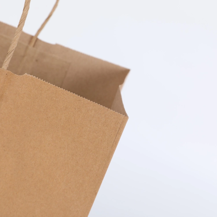 Heavy Duty Kraft Vegetable Paperbags with Handles Plain Brown Kraft Grocery Paper Bag for Supermarket
