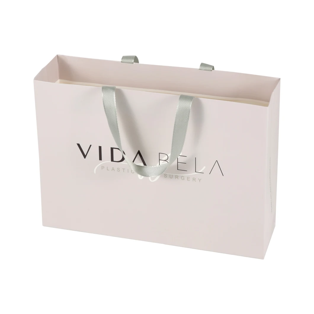 Luxury Gift Bag Printed Customized Paper Custom Paper Shopping Bags with Your Own Logo