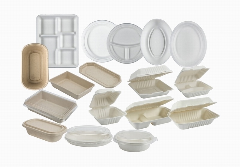 205mm Compostable Biodegradable Compostable Dinner Set Dinnerware Sushi Tray