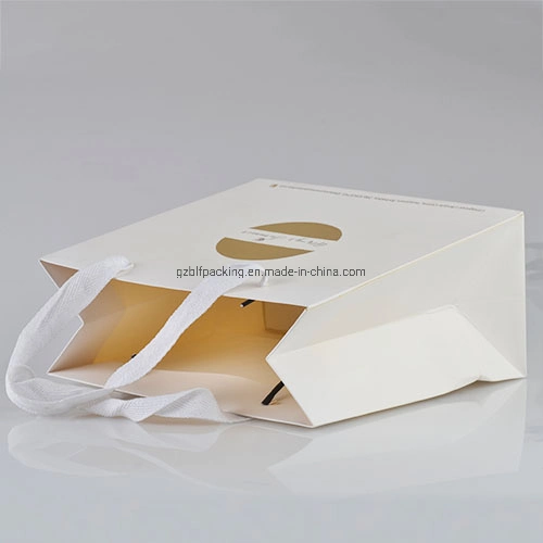 Nice Paper Gift Paper Bag Shopping Custom