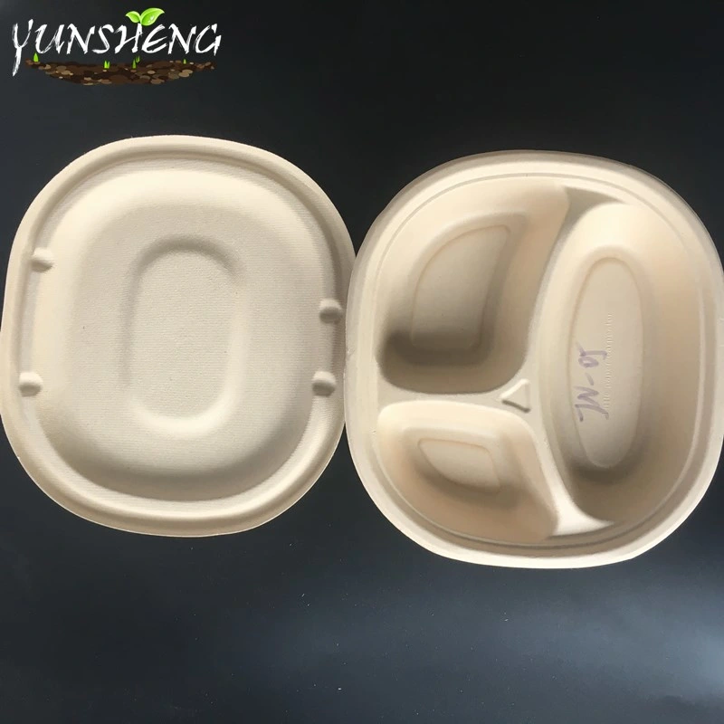 Compostable Disposable Kraft Paper/Sugarcane Bagasse Paper or Bamboo Paper Trays for Takeout Food