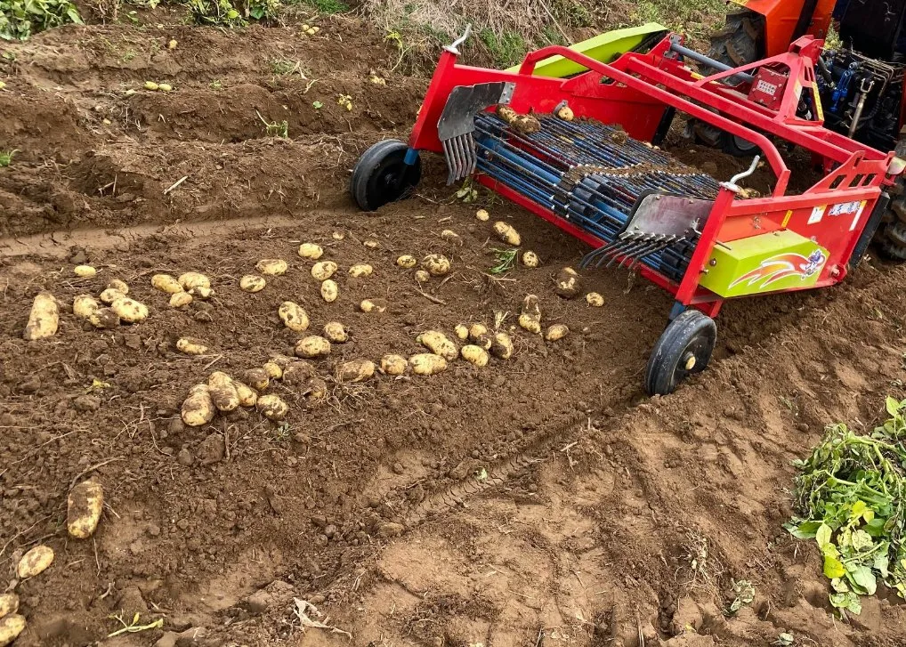 Onions Digger Implement Sweet Potato Carrot Harvester with Tractor Mounted