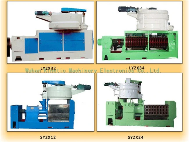 Best Selling Oil Press Machine Cashew Nut Processing Machine for Home Use India