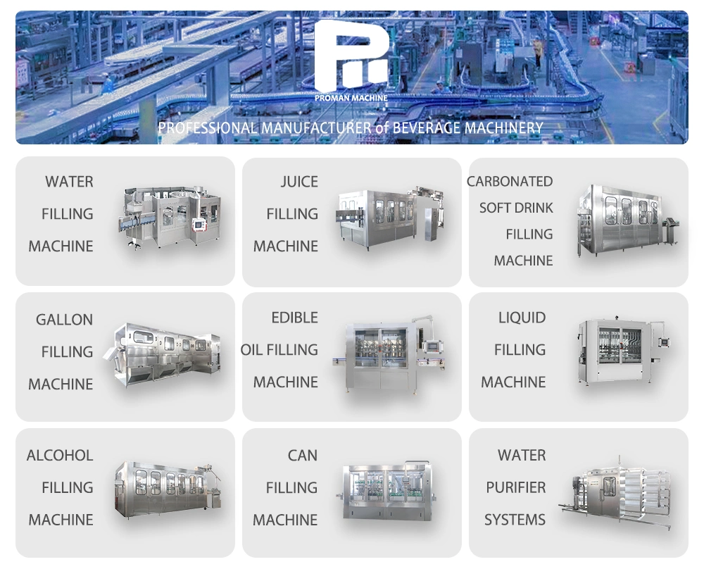 Full Automatic Fully Auto Drinking Water Filling Capping Machine