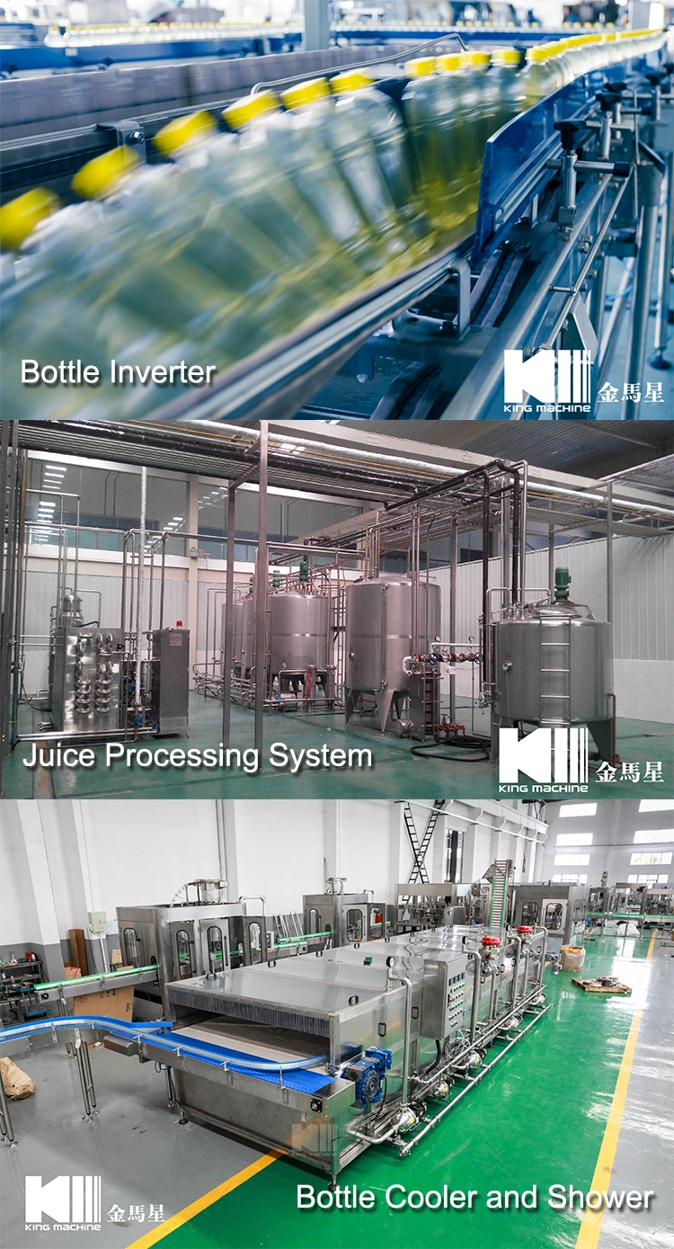 Juice Manufacturing Equipment/Juice Production Equipment/Juice Filling Line/Juicer Filling Line