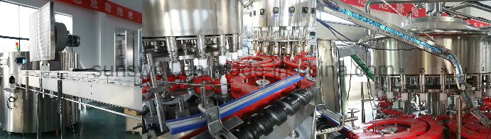 Sunswell Dairy Washing Filling Sealing Machine PE Bottle