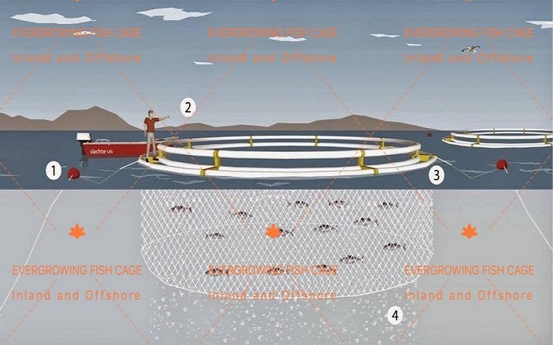 HDPE Fish Cage Floating Saltwater Farming Aquaculture Equipment 6mx6m