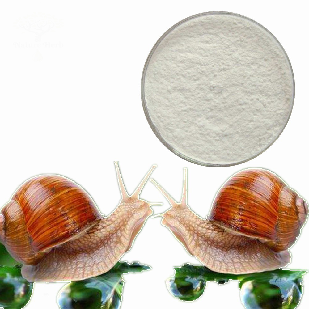 High Quality Helix Aspersa Snail Extract/Snail Slime Extract/Snail Extract