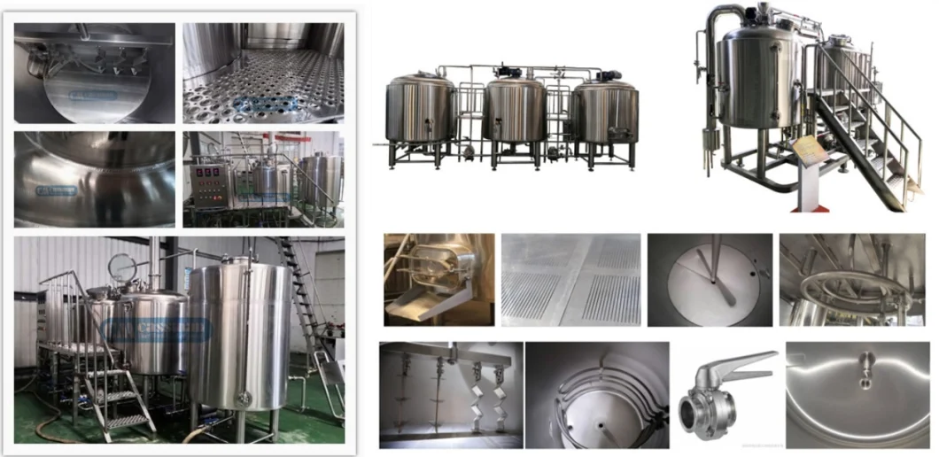 100L/300/500L Cassman Micro Craft Beer Making/Brewing Equipment