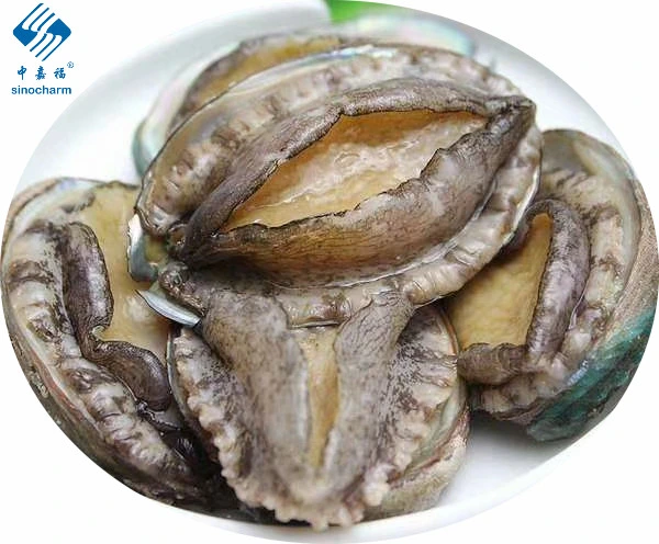 Sinocharm Brc a Approved IQF Abalone Shelled and Without Shell Frozen Abalone