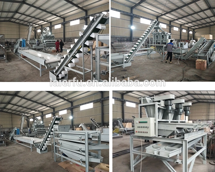 Hot Sale Nut Shelling Processing Line Walnut Shelling Machine Pecan Shelling Machine Line